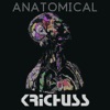 Anatomical - EP