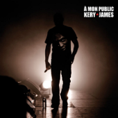 À mon public (Live au Zénith de Paris le 18 décembre 2009) - Kery James