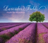 Lavender Fields artwork