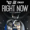 Right Now (feat. SOB X RBE & Ziggy) - Single album lyrics, reviews, download