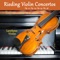 Violin Concertino in G Major, Op. 24: III. Allegro artwork