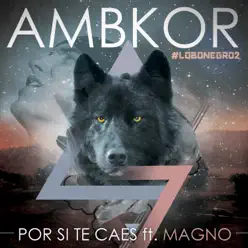 Por si te caes (feat. Magic Magno) - Single - Ambkor