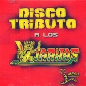 Disco Tributo a los Kjarkas artwork