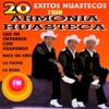 20 Éxitos Huastecos