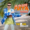 Ab an die Playa (Sommermix) - Single