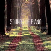 Sounds of Piano artwork