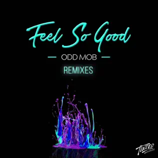 last ned album Odd Mob - Feel So Good Remixes