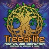Tree of Life Festival 2017