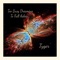 Junglecats (feat. Kharim the Dream) - Tyger lyrics