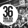 36 Tribal Ibiza Afterhours Multibundle, 2017