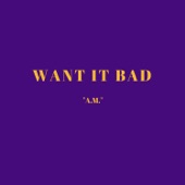 Want It Bad artwork