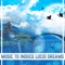 Conscious Dreaming - Deep Sleep System lyrics