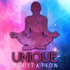 Unique Meditation: Deep Zen Meditation & Well Being Music, Nature Sounds for Relaxation & Mindfulness, Best Sounds for Yoga Class by Various Artists album reviews, ratings, credits