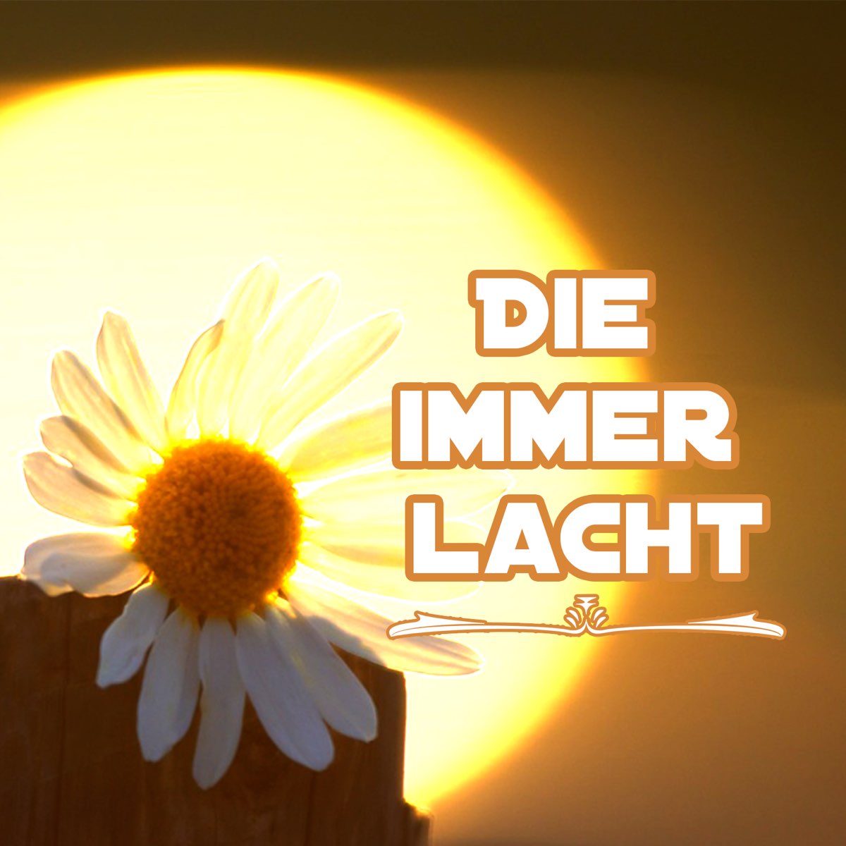 Die immer. Lacht. Die immer lacht Ноты. Immer. Die immer lacht аккорды.