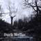 Dark Holler: II. Wandering Boy - Alex Sopp, Hideaki Aomori, C.J. Camerieri, Jamie Keesecker, Rob Moose, Sarah Griffin, Nadia Sirota,  lyrics