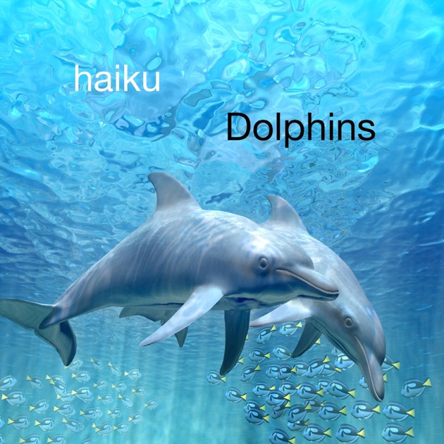 the music of dolphins Play the music of dolphins audiobook in just minutes using our free mobile apps, or download and listen directly on your computer or laptop. the music of dolphins Play the music of dolphins audiobook in just minutes using our free mobile apps, or download and listen directly on your computer or laptop.