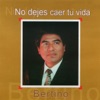 Bertino - Camino de Salvación