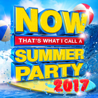 Various Artists - NOW That's What I Call a Summer Party 2017 artwork