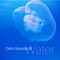 Under Waterfall, Zen Zone - Buddha Music Sanctuary lyrics