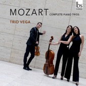 Piano Trio No. 6 in G Major, K. 564: III. Allegretto artwork