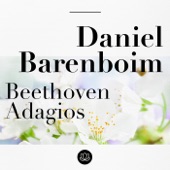 Beethoven Adagios artwork