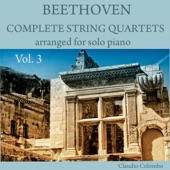 Beethoven: Complete String Quartets Arranged for Solo Piano, Vol. 3 artwork