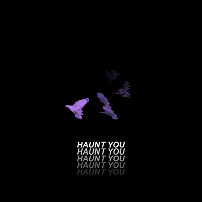 Haunt You - Single - Divine
