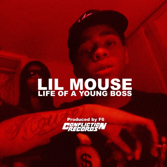 Cover artwork for Life of a Young Boss