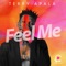 Feel Me - Terry Apala lyrics