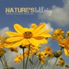 Nature's Lullaby Gentle Ambient Melodies