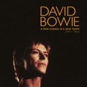 David Bowie & Bing Crosby - Peace On Earth/Little Drummer Boy