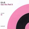 Can You Feel It (Remixes) - EP, 1991