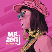 Mr Sensi artwork