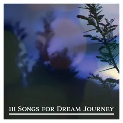 111 Songs for Dream Journey: Fall Asleep with Nature, Music for Sleep & Yoga and Meditation, Blissful Rest, Nature's Sounds, Positive Power, Harmony Balance, Tranquil Oasis by Calm Nature Oasis album reviews, ratings, credits