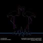 Robin S Show Me Love (Flamingos Remix) artwork