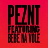 Can You Feel (feat. Bebe Na Vole) - Single