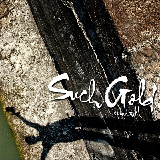 Cover artwork for Stand Tall