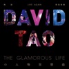 David Tao - Love Can
