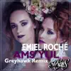 Stream & download Ams Yul (Greyhawk Remix) - Single