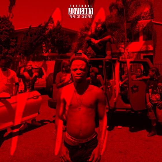Cover artwork for Sibley Flow