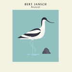 Bert Jansch - Kingfisher (feat. Martin Jenkins)