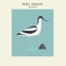 Kingfisher (feat. Martin Jenkins) - Bert Jansch lyrics