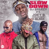 Slow Down (feat. D-Black, Joey B & King Promise) artwork