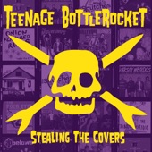 Teenage Bottlerocket - No Hugging No Learning