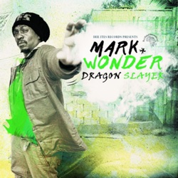 Mark Wonder - Lots of Raging (Extended Dubwize)