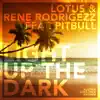Light up the Dark (feat. Pitbull) - EP album lyrics, reviews, download