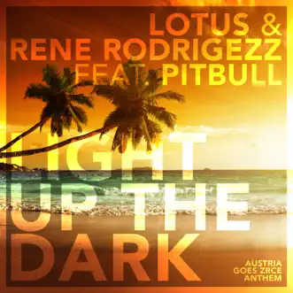 Light Up the Dark (feat. Pitbull) [Trillogee Remix] by Lotus & Rene Rodrigezz song reviws