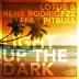 Light Up the Dark (feat. Pitbull) [Trillogee Remix] song reviews