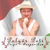 Polgár Peti - Origo (Pápai Joci Paródia)