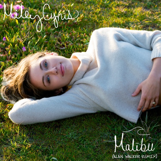 Cover artwork for Malibu